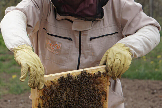 Equipo básico del apicultor