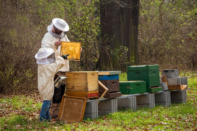 beekeeper.jpg