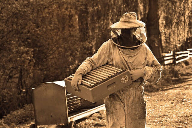 traje-de-apicultor.jpg
