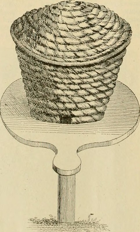 american-bee-journal-(1862).jpg