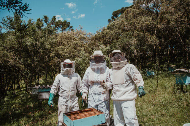 apicultores.jpg
